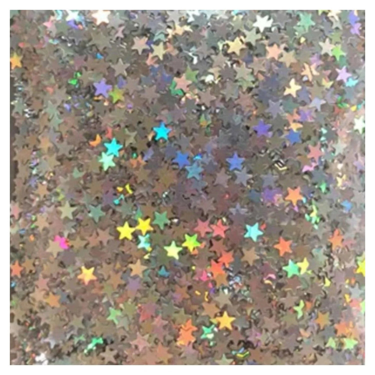 10g Holographic Nail Decals – Silver, Gold, Purple & Butterfly Sequins – Silver Stars