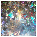 Holographic Nail Art Decals – Silver & Gold Stars, Butterflies – Silver Butterfly Sequins
