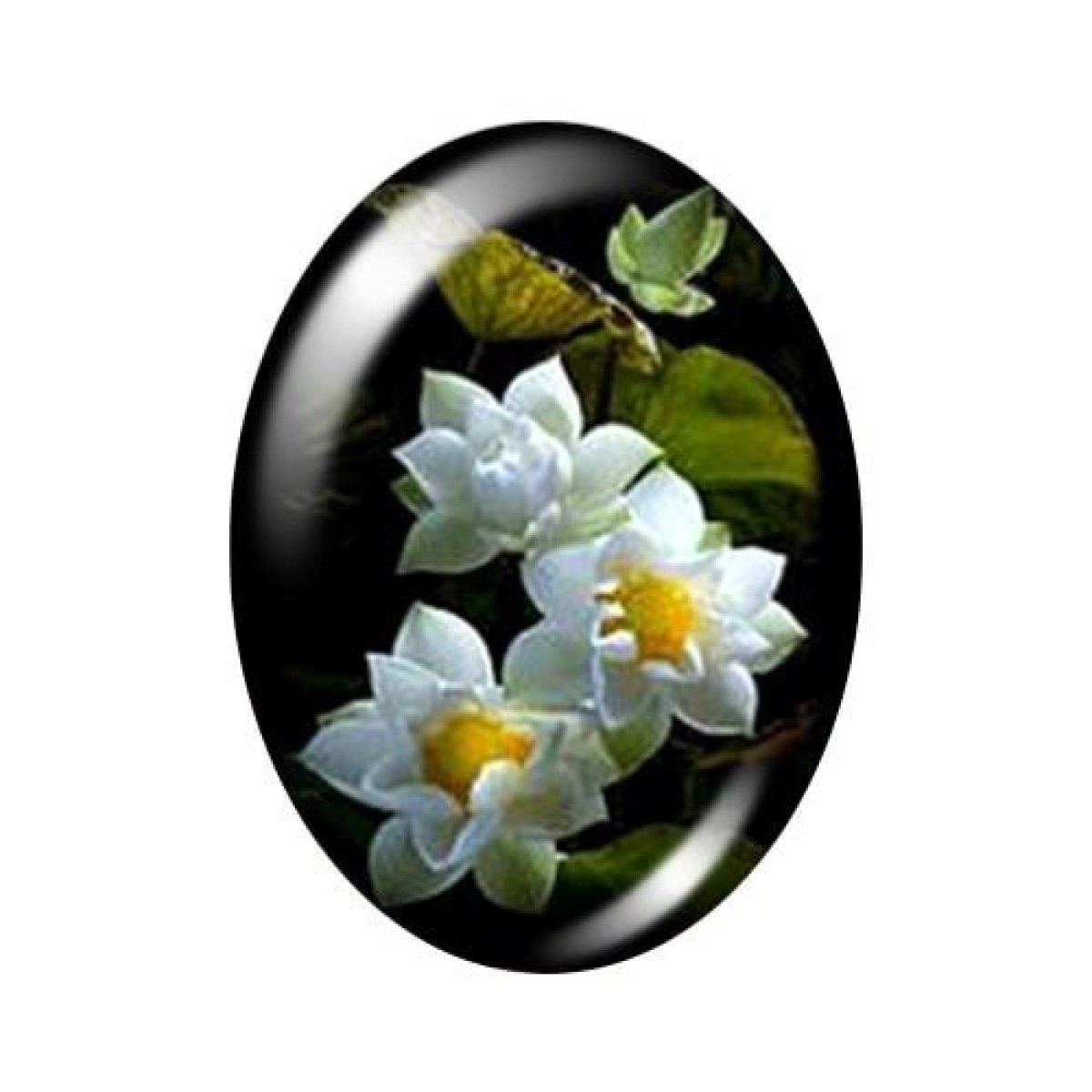 10 Oval Photo Glass Cabochons 13x18mm/18x25mm/30x40mm