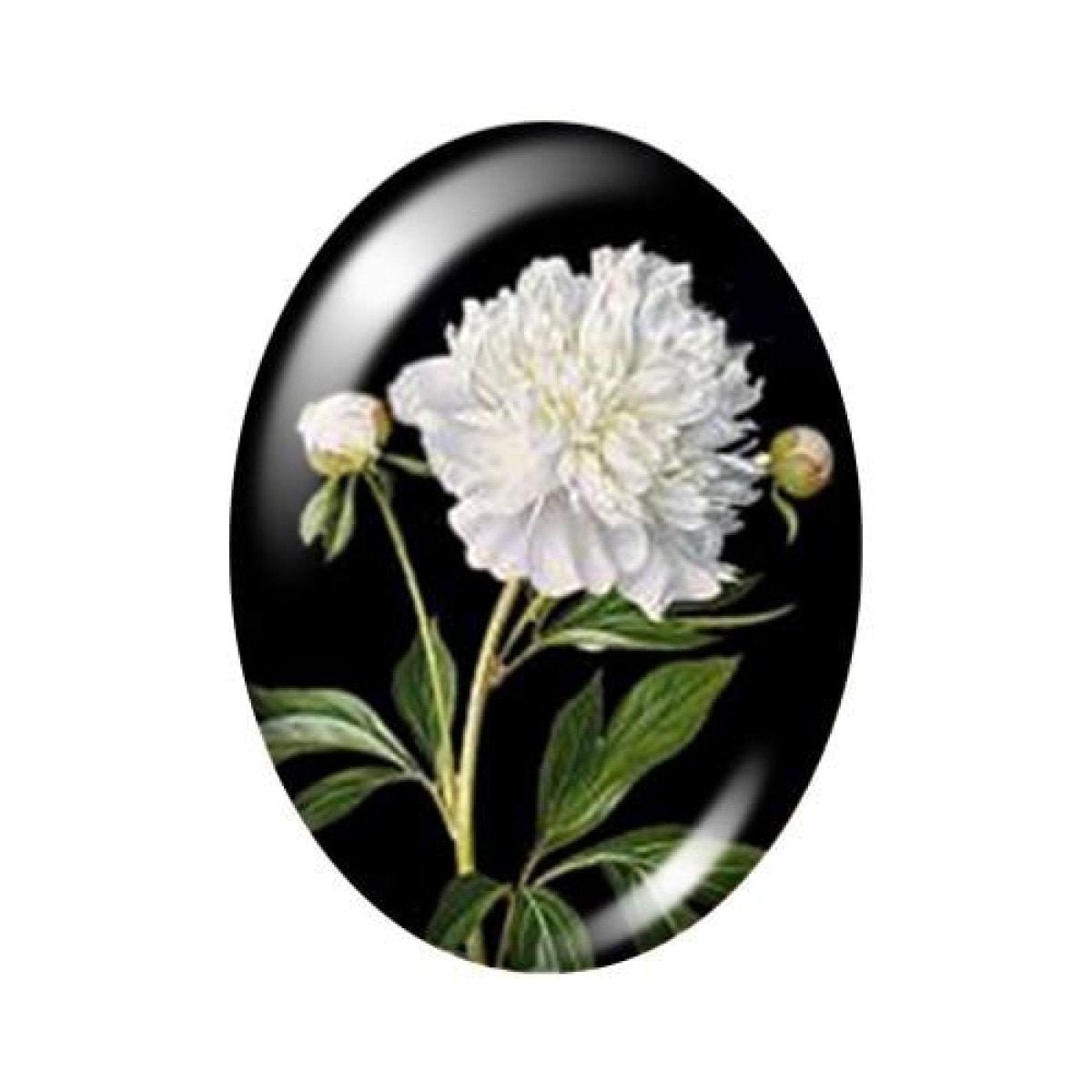 10 Oval Photo Glass Cabochons 13x18mm/18x25mm/30x40mm
