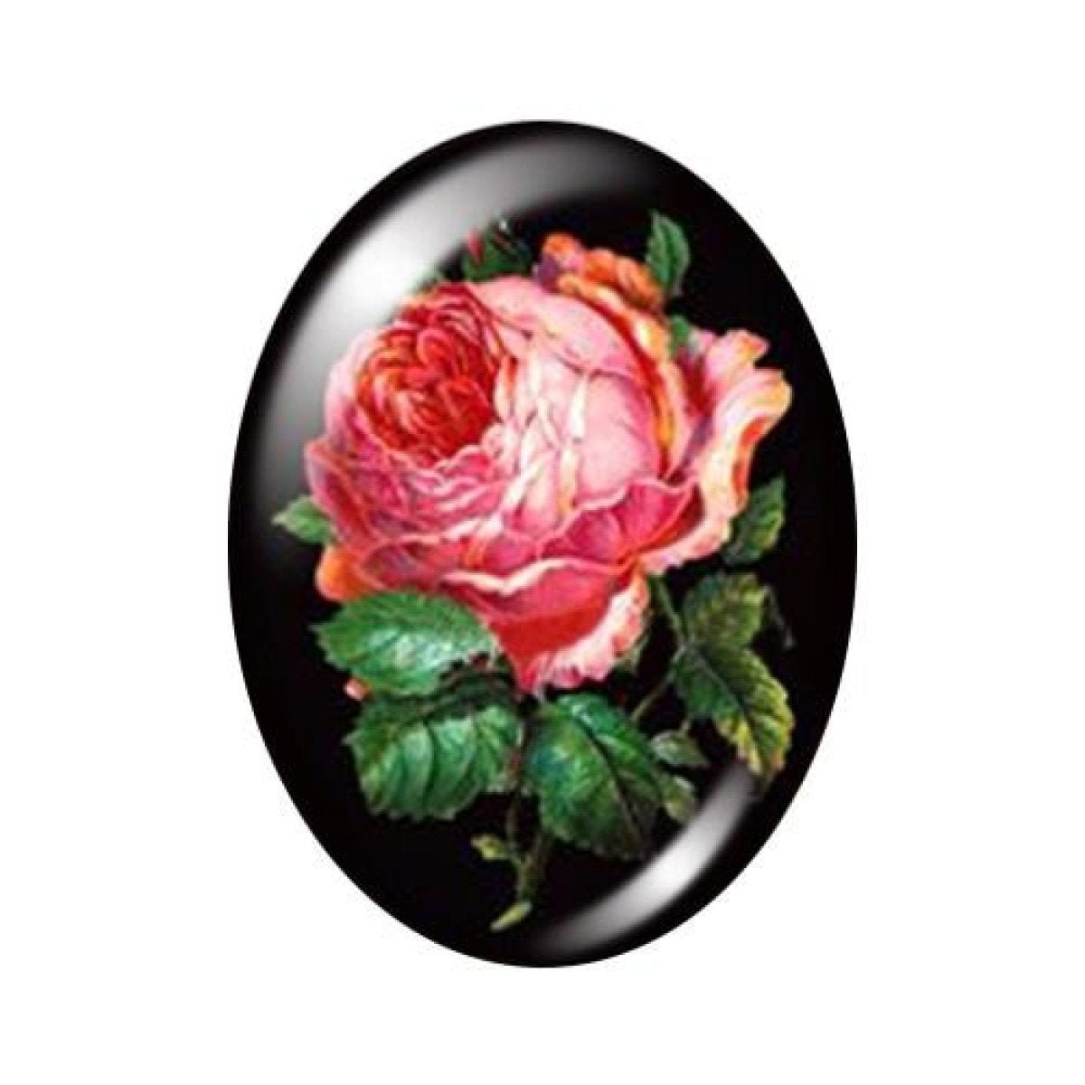10 Oval Photo Glass Cabochons 13x18mm/18x25mm/30x40mm