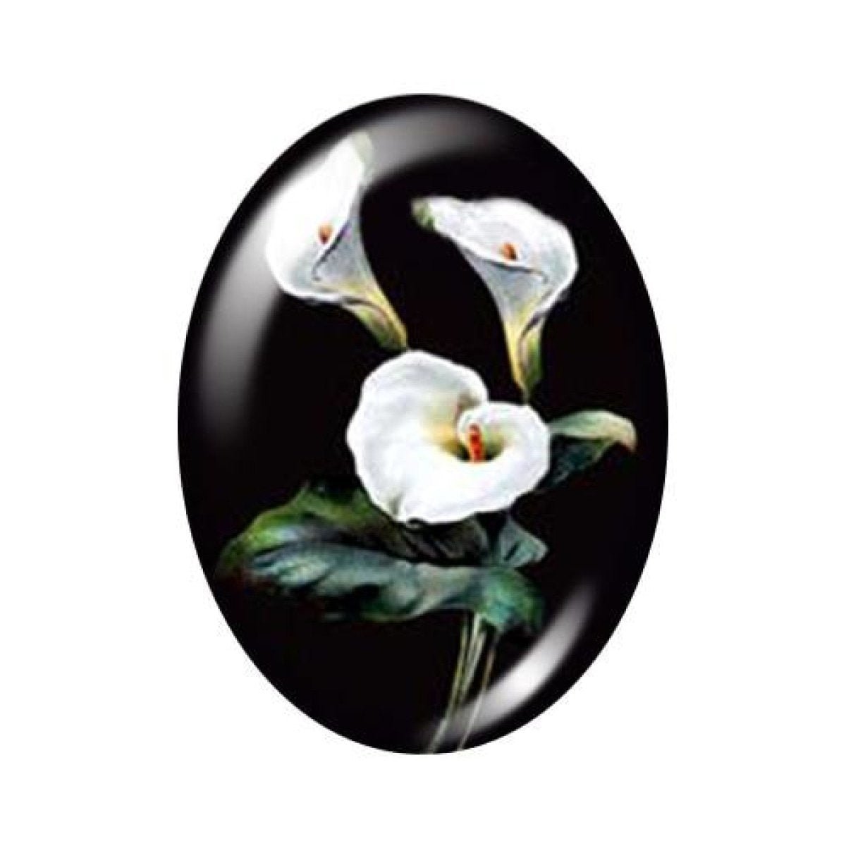10 Oval Photo Glass Cabochons 13x18mm/18x25mm/30x40mm