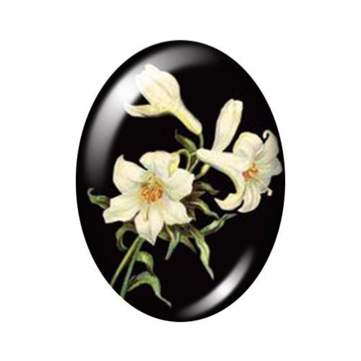 10 Oval Photo Glass Cabochons 13x18mm/18x25mm/30x40mm