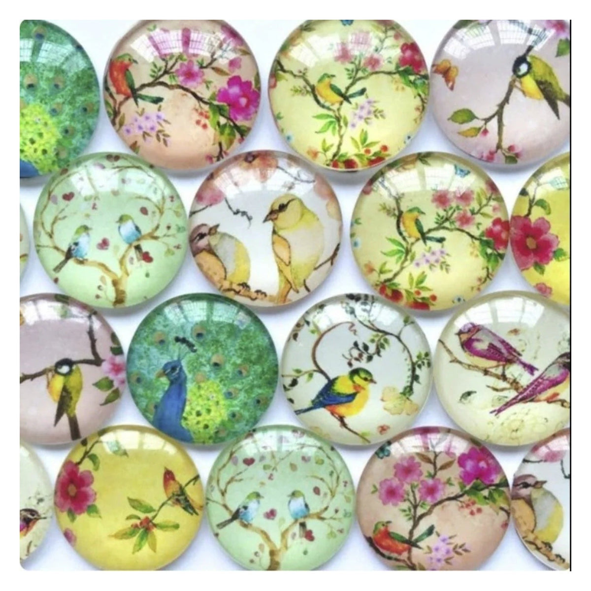 10 Glass Cabochons Bird Pictures Oval 20mm