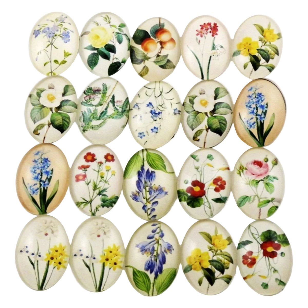 Oval Shaped Photo Glass Cabochons – Floral Fruit Buds, 10pcs, 18x25mm