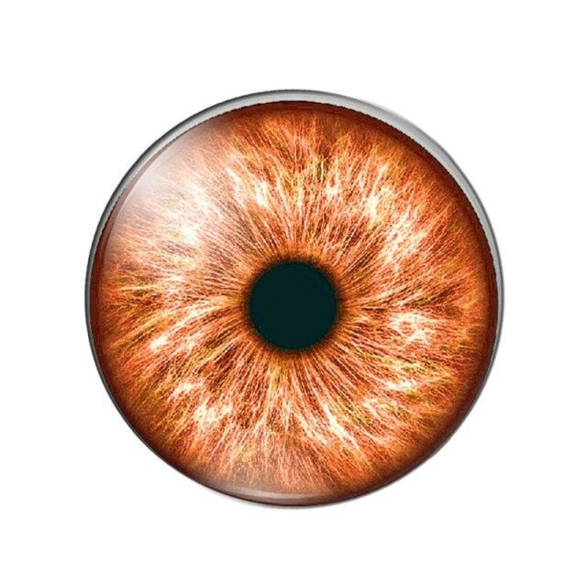 10pcs Round Glass Doll Eyes 10mm-25mm Cabochons Multi-Colour