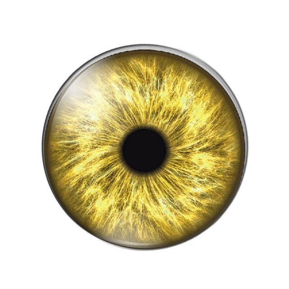 10pcs Round Glass Doll Eyes 10mm-25mm Cabochons Multi-Colour