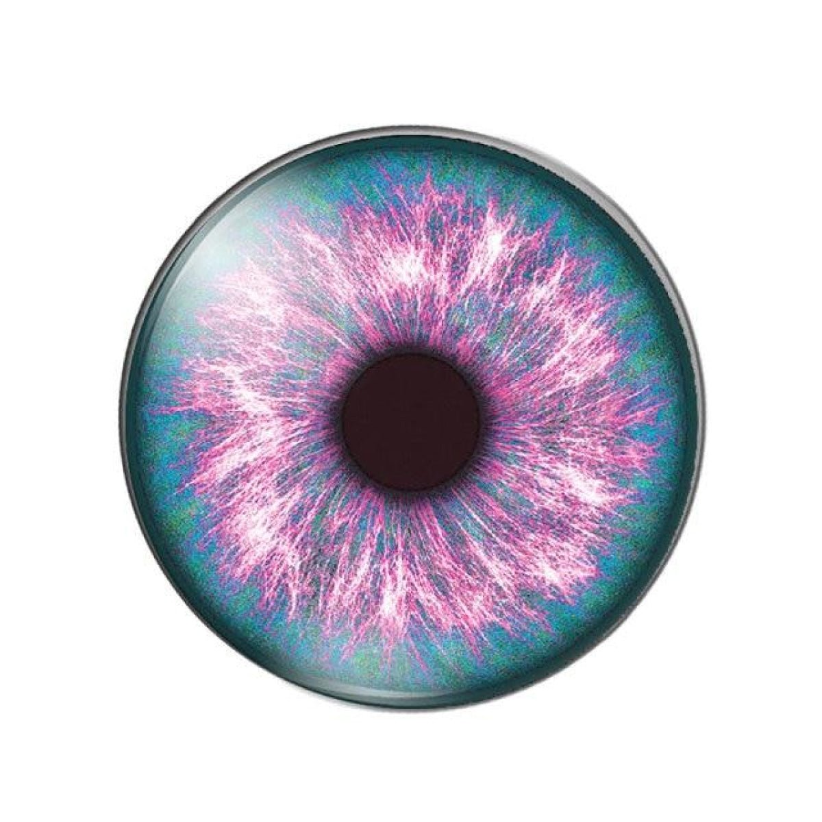 10pcs Round Glass Doll Eyes 10mm-25mm Cabochons Multi-Colour