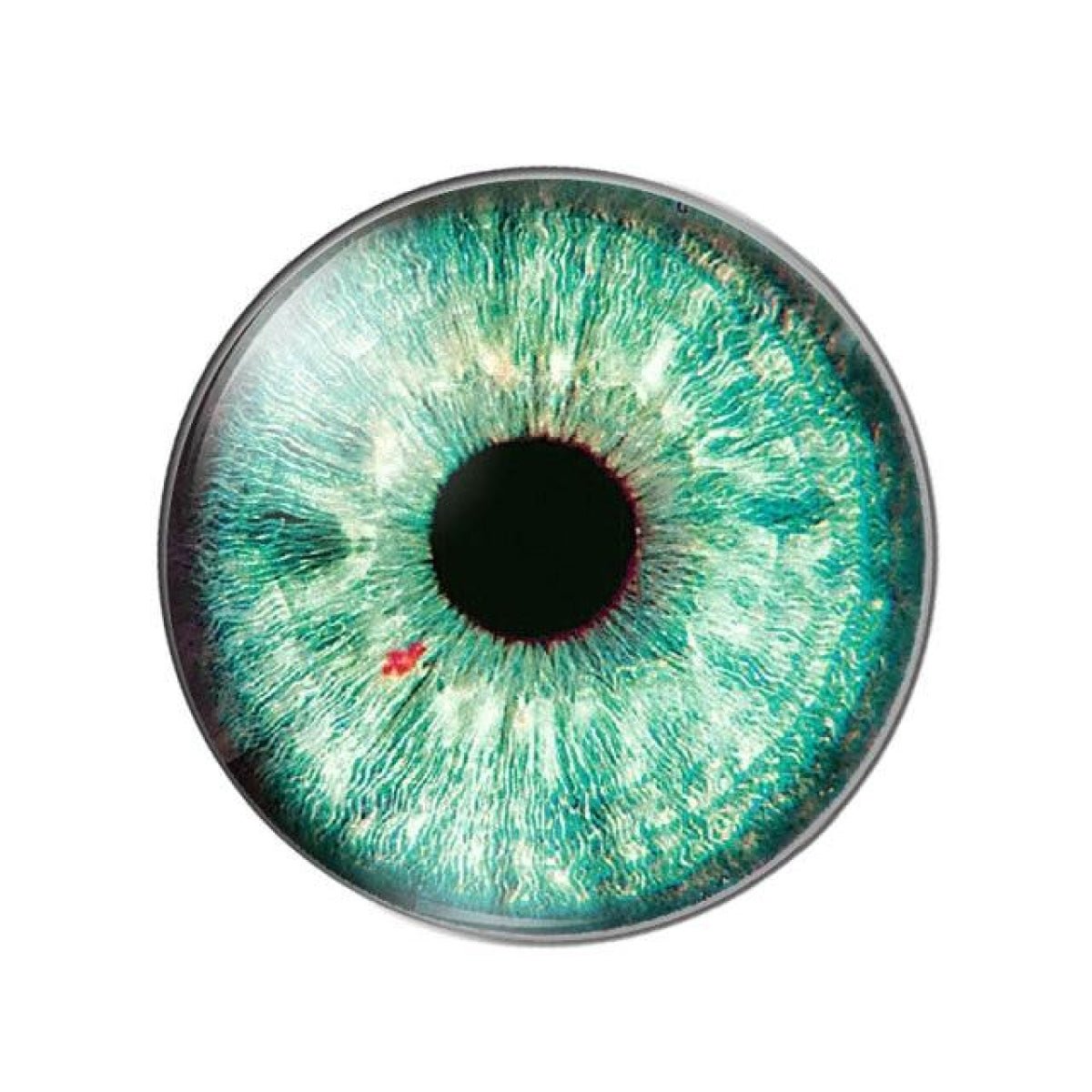 10pcs Round Glass Doll Eyes 10mm-25mm Cabochons Multi-Colour