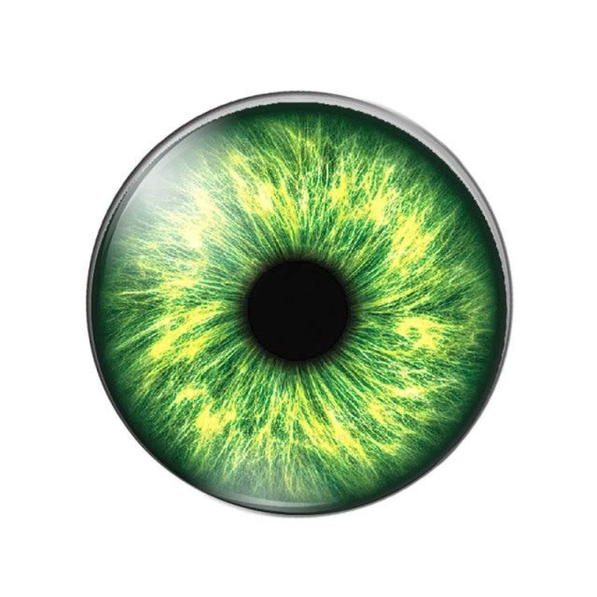 10pcs Round Glass Doll Eyes 10mm-25mm Cabochons Multi-Colour