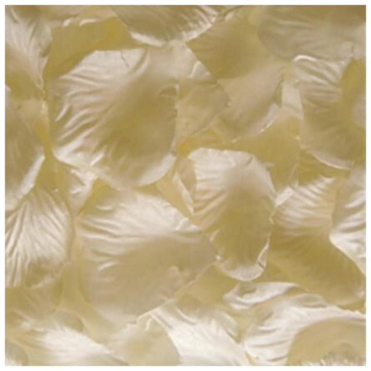 500pcs Rose Petal Confetti – Artificial Flower Table Décor – Champagne