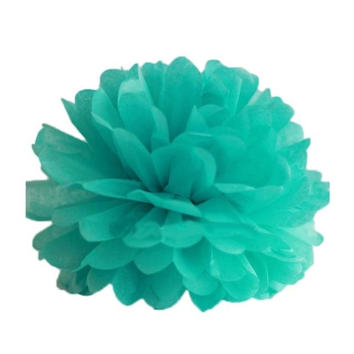 5pcs Tissue Paper Pom Poms 6-12in – Turquoise 10cm 4inch, Turquoise 15cm 6inch