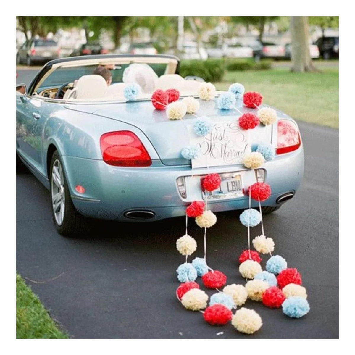 5pcs Tissue Paper Pom Poms 6-12in