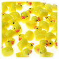 Miniature Garden Turtle & Duck Figurine Set – Yellow Ducks