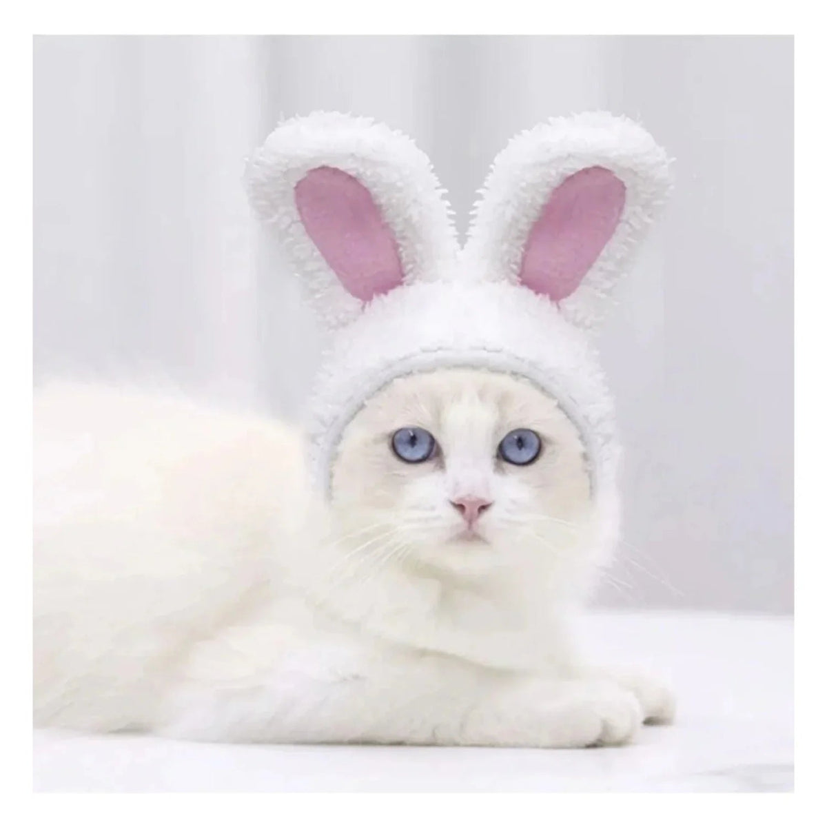 Bunny Ears Party Mask for Cats and Dogs – Medium, White & Pink