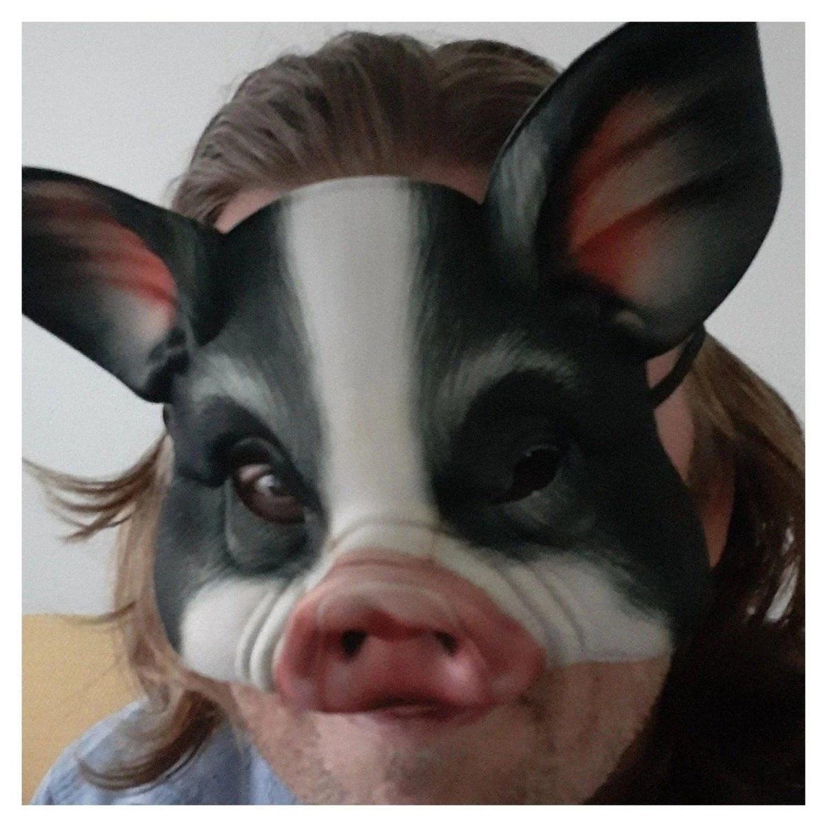 Kids Animal Half-Face Mask – Fox Pig Rabbit Tiger