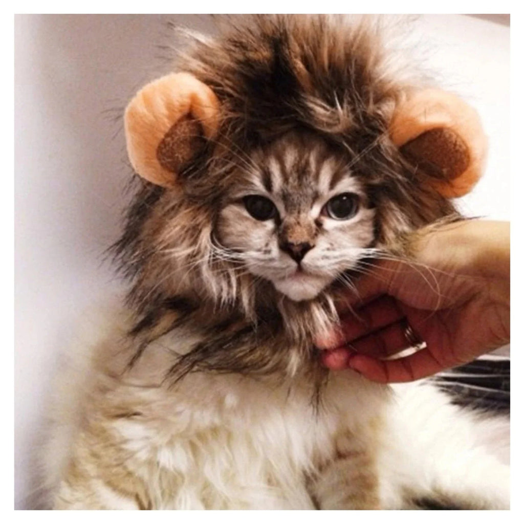 Lion Mane Costume for Cat Dog Clothes Funny Hat Fancy Dress Small
