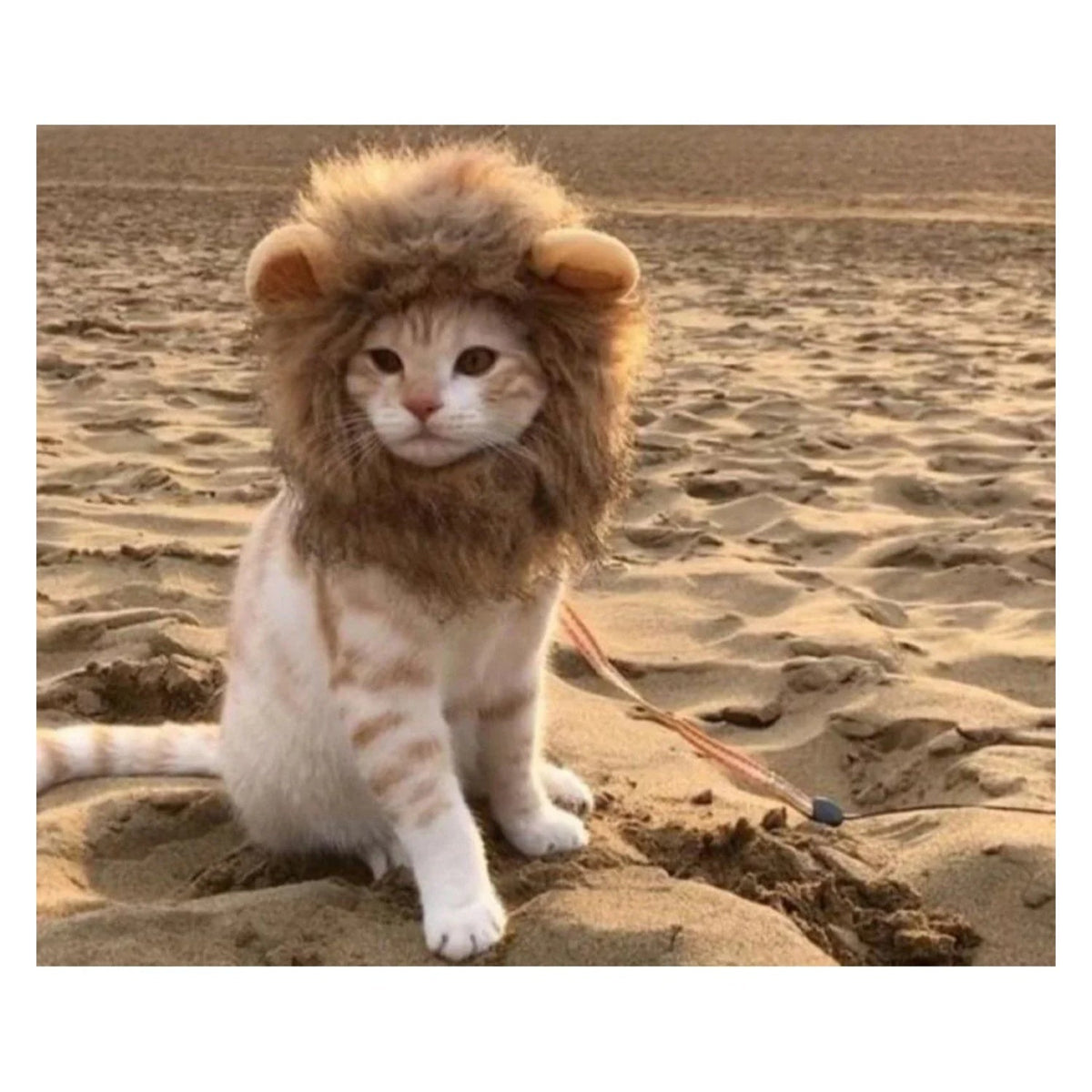 Lion Mane Costume for Cat Dog Clothes Funny Hat Fancy Dress Small