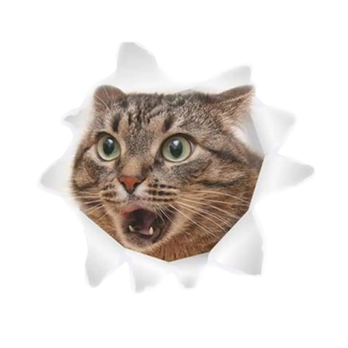 Toilet Seat Lid Sticker Cat Dog Kitten Bathroom Decals – Snarling Cat
